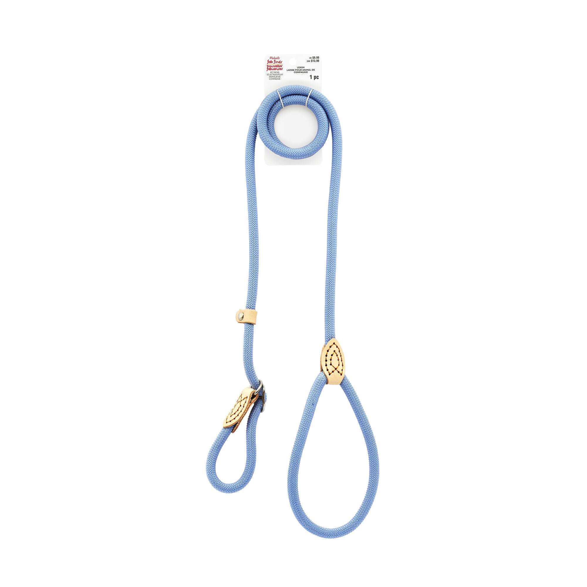 Assorted 5ft. Pet Leash, 1pc. by Fab Finds